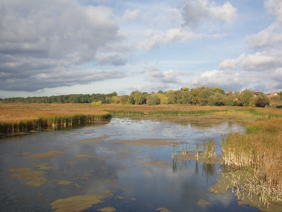 Image - The Zdvyzh River